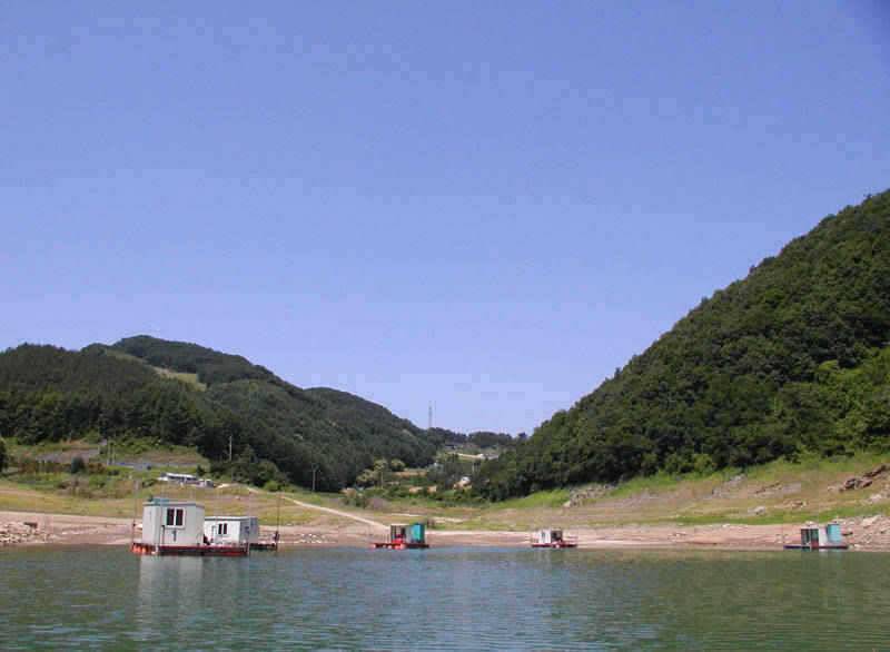 충주호 중하류권에서 붕어입질이 (조황조행기 - 특파원조황)