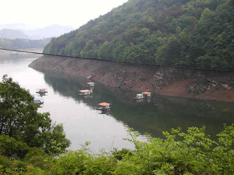 충주호 하천낚시터 주말조황 소식입니다 (조황조행기 - 특파원조황)