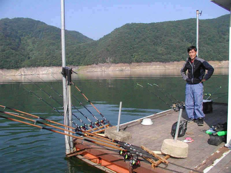 충주호 장어낚시 소식입니다 (조황조행기 - 특파원조황)