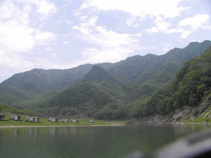 충주호 명서리 연안낚시와 솔낚시터 조황입니다 (조황조행기 - 특파원조황)