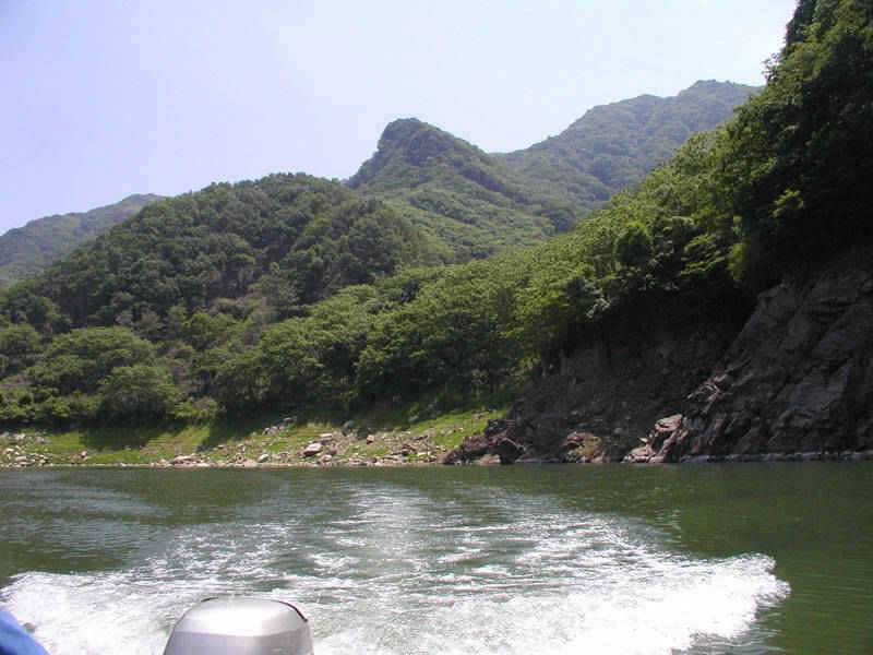 충주호 명서리 연안낚시와 솔낚시터 조황입니다 (조황조행기 - 특파원조황)