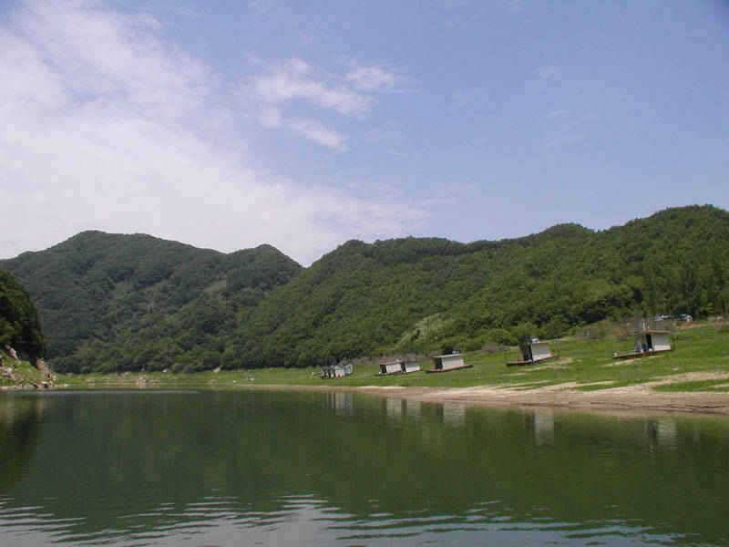 충주호 명서리 연안낚시와 솔낚시터 조황입니다 (조황조행기 - 특파원조황)