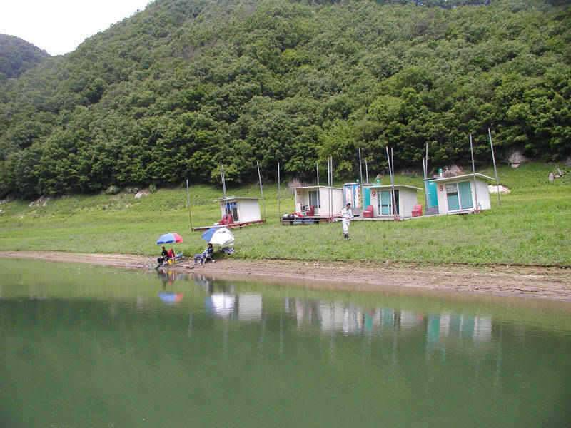 충주호 명서리 연안낚시와 솔낚시터 조황입니다 (조황조행기 - 특파원조황)