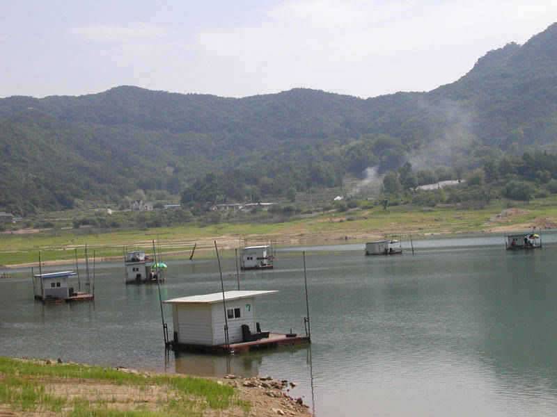 충주호 명서리 연안낚시와 솔낚시터 조황입니다 (조황조행기 - 특파원조황)