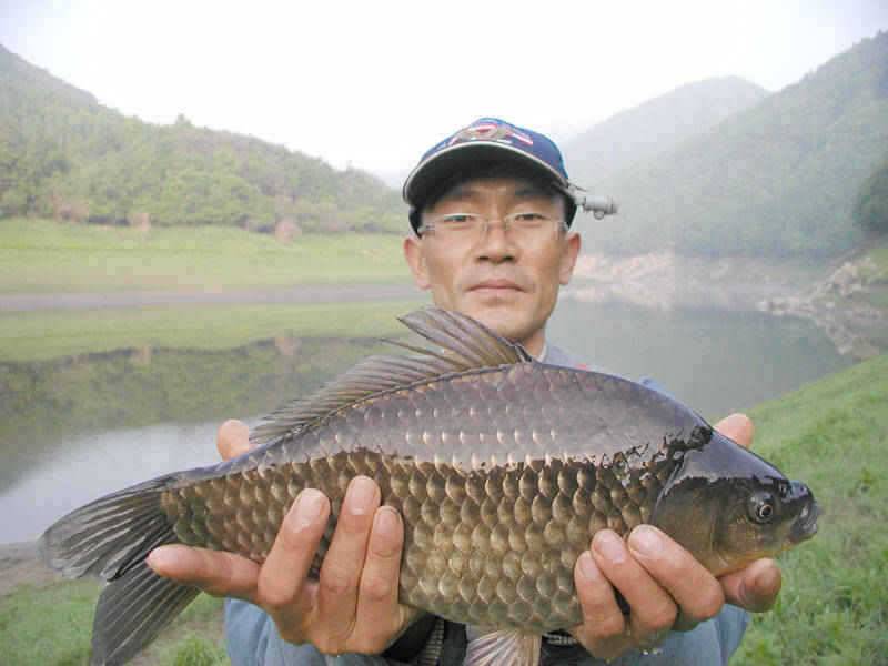 충주호 명서리 노지에서 4짜대물붕어 장어 메기까지 (조황조행기 - 특파원조황)