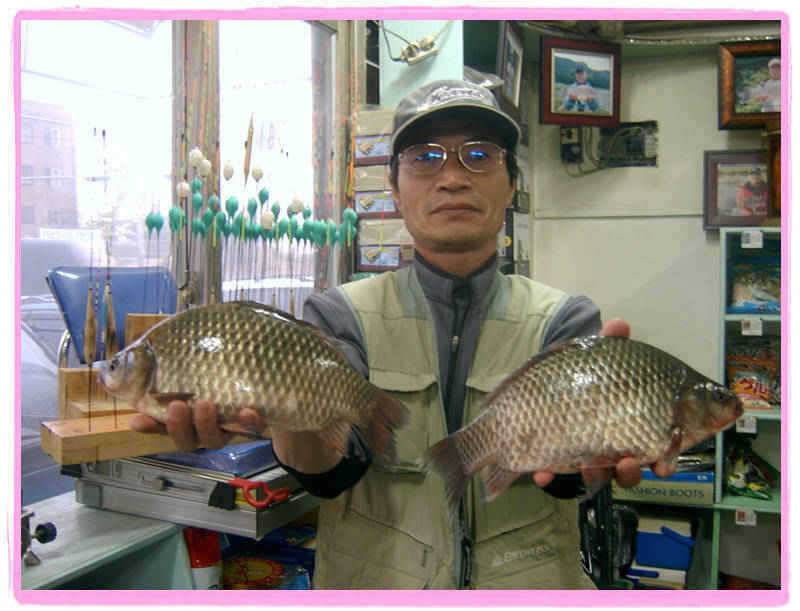 강화 어류정수로 조황 정보 입니다 (조황조행기 - 특파원조황)