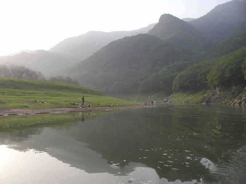 충주호 장어낚시 이제부터 시작입니다 (조황조행기 - 특파원조황)