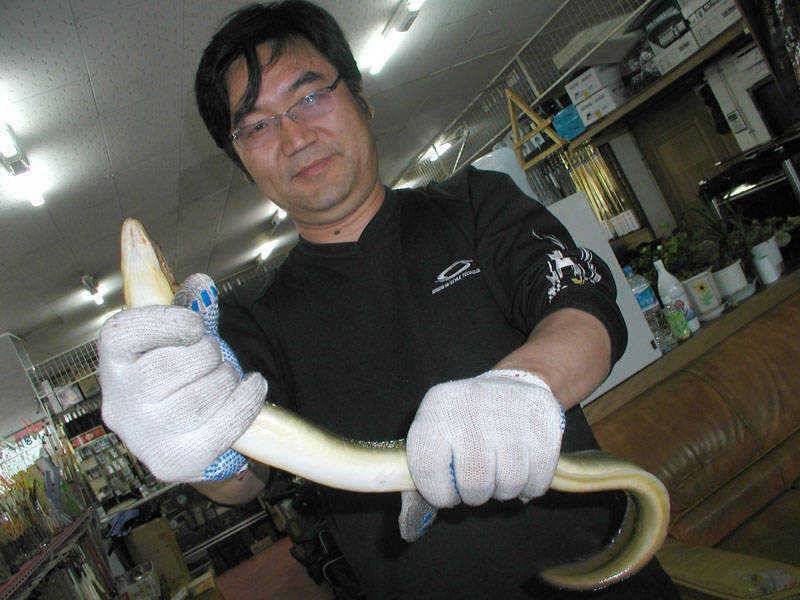 충주호 장어낚시 이제부터 시작입니다 (조황조행기 - 특파원조황)