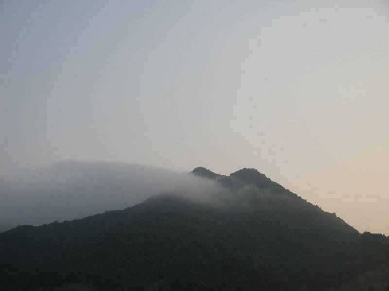 충주호 본류권에서도 장어입질이 시작 빨래판 향어모습 (조황조행기 - 특파원조황)
