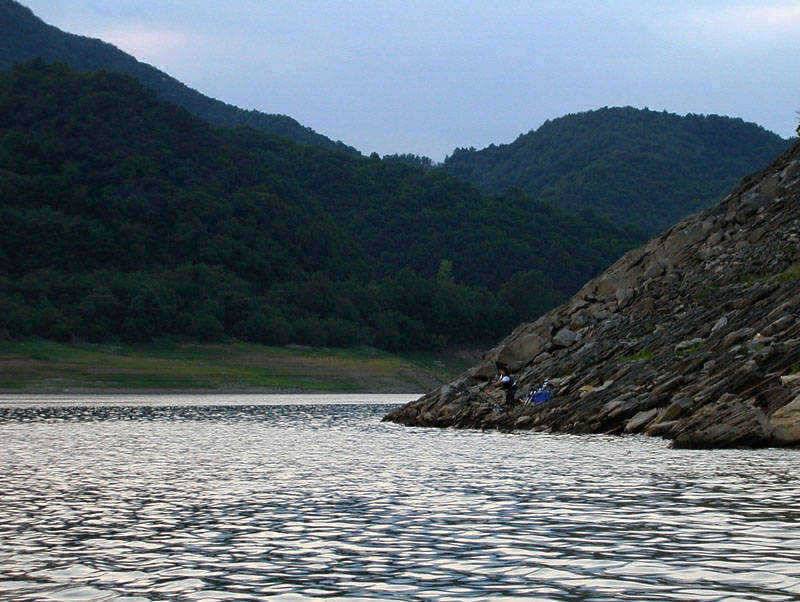 충주호 2007최대어 후보 1순위 29kg의 아나콘다가 낚이다 (조황조행기 - 특파원조황)