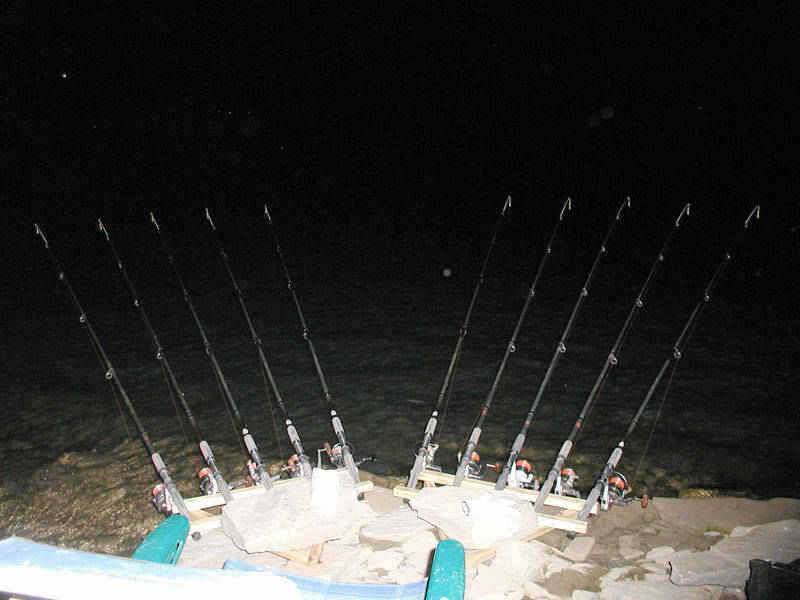 충주호 2007최대어 후보 1순위 29kg의 아나콘다가 낚이다 (조황조행기 - 특파원조황)