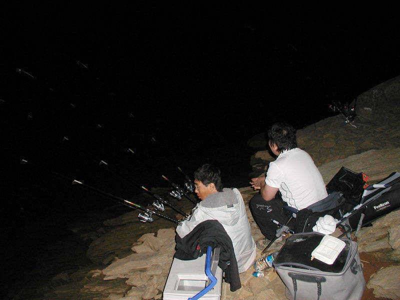 충주호 2007최대어 후보 1순위 29kg의 아나콘다가 낚이다 (조황조행기 - 특파원조황)