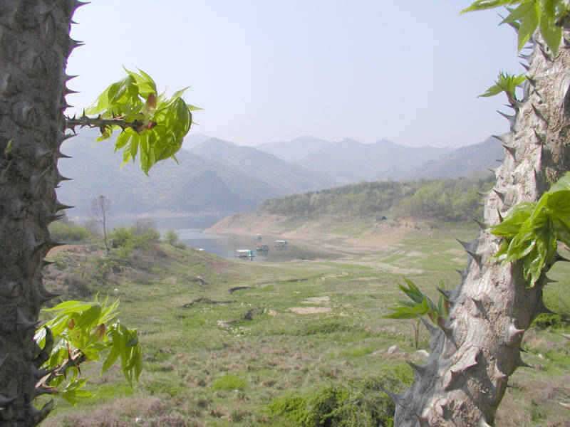 충주호 하천낚시터 이제야 붕어의 입질이 시작되는가 봅니다 (조황조행기 - 특파원조황)