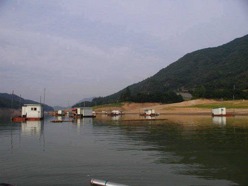 충주호 내림수위폭이 줄어들며 붕어입질 살아나기 시작 (조황조행기 - 특파원조황)