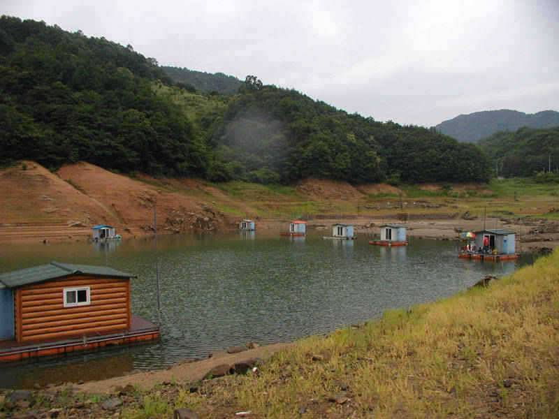 충주호 내림수위폭이 줄어들며 붕어입질 살아나기 시작 (조황조행기 - 특파원조황)