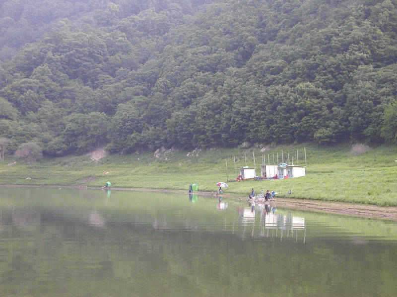 충주호 2728일 조황대낚에 80cm잉어가 (조황조행기 - 특파원조황)