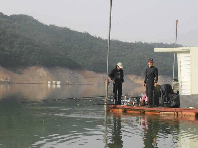충주호 2728일 조황대낚에 80cm잉어가 (조황조행기 - 특파원조황)