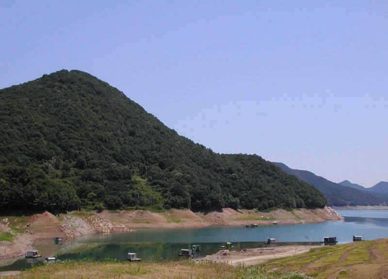 충주호 1kg의 장어소식과 붕어소식입니다 (조황조행기 - 특파원조황)