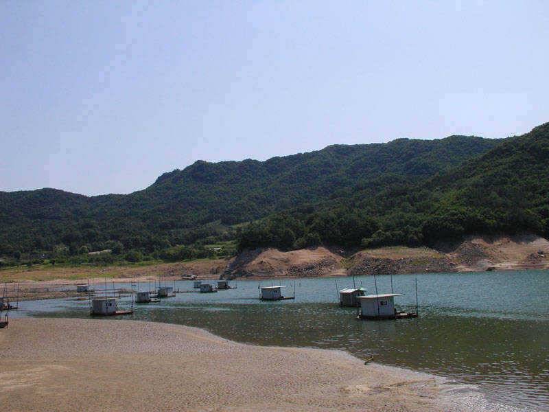 충주호 1kg의 장어소식과 붕어소식입니다 (조황조행기 - 특파원조황)