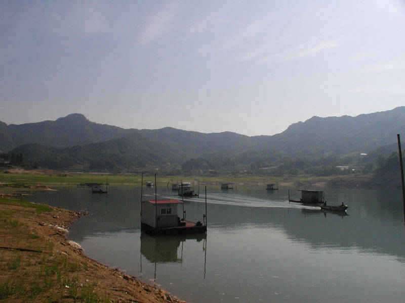 충주호 서운리 솔낚시터 하천낚시터 조황이 살아나고 있습니다 (조황조행기 - 특파원조황)