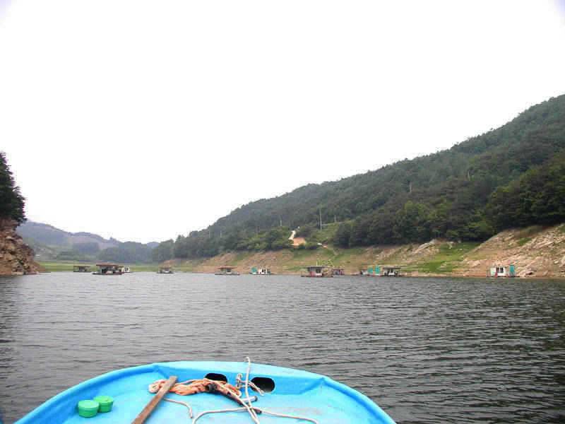 충주호 서운리 솔낚시터 하천낚시터 조황이 살아나고 있습니다 (조황조행기 - 특파원조황)