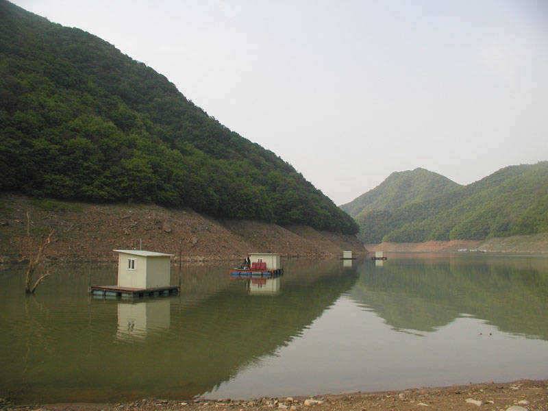 충주호 오산리낚시터 붕어낚시 소식입니다 (조황조행기 - 특파원조황)