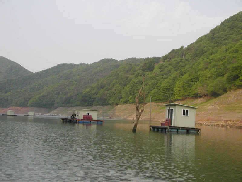 충주호 오산리낚시터 붕어낚시 소식입니다 (조황조행기 - 특파원조황)