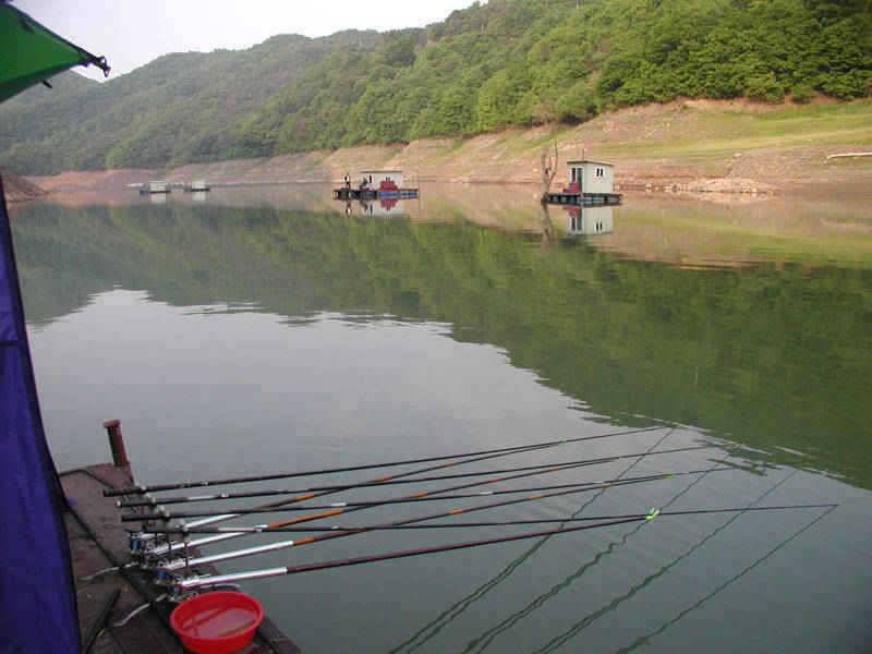 충주호 오산리낚시터 붕어낚시 소식입니다 (조황조행기 - 특파원조황)