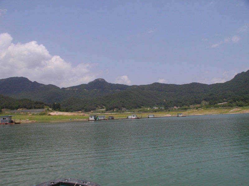 충주호 서운리 솔낚시터 월척에 마릿수 조과 (조황조행기 - 특파원조황)