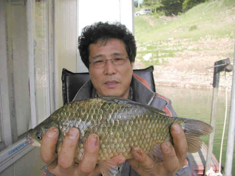 충주호 월척입질에 전반적인 조황은 부진했던 주말소식입니다 (조황조행기 - 특파원조황)