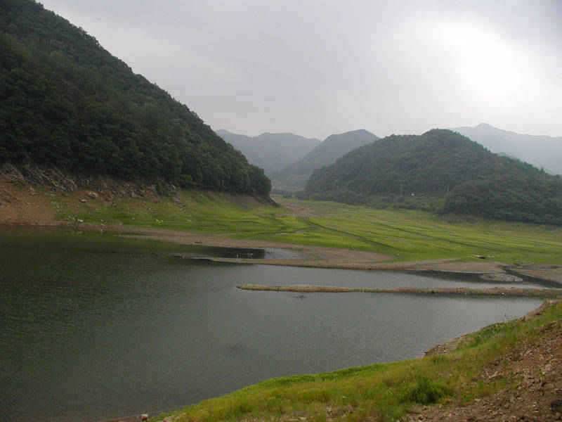 충주호 하천낚시터 낮 낚시에 마릿수 조황을 (조황조행기 - 특파원조황)