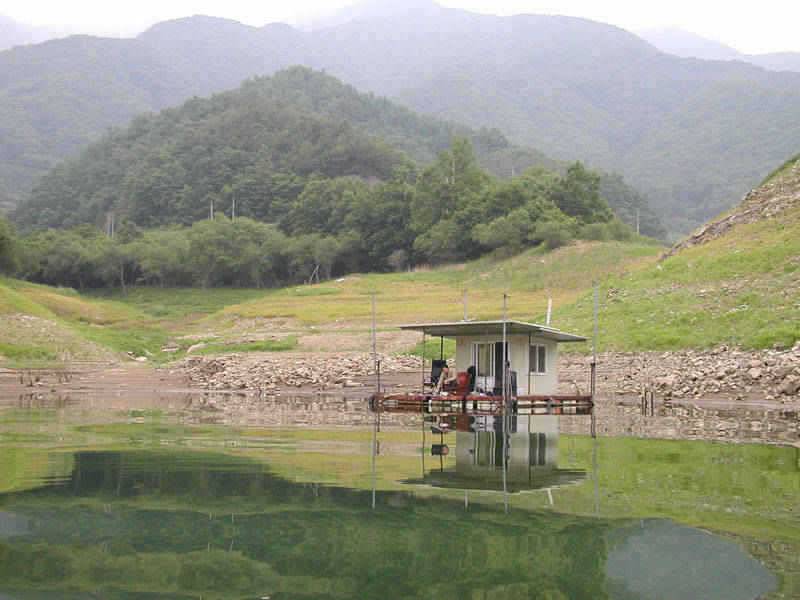 충주호 하천낚시터 낮 낚시에 마릿수 조황을 (조황조행기 - 특파원조황)