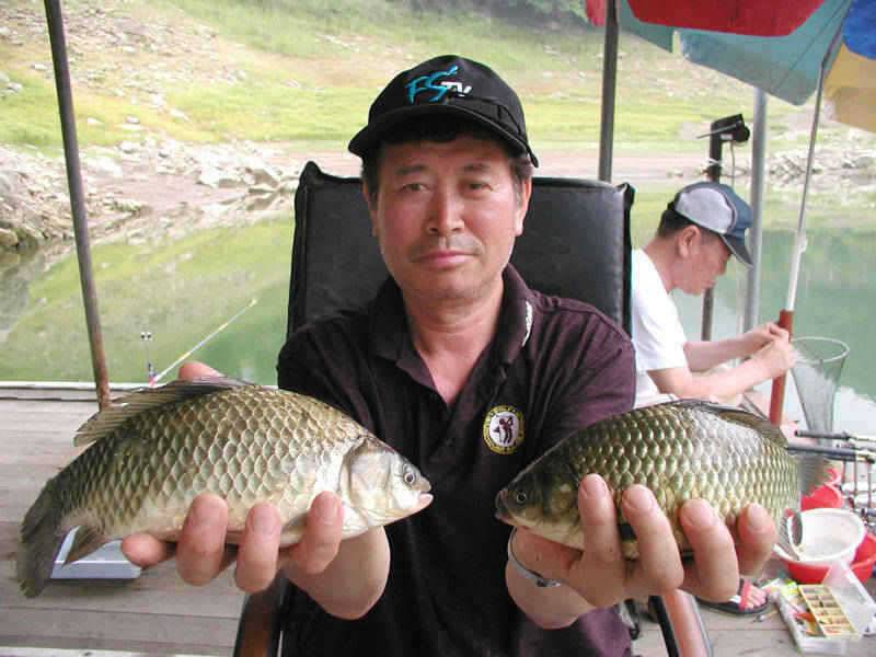 충주호 하천낚시터 낮 낚시에 마릿수 조황을 (조황조행기 - 특파원조황)