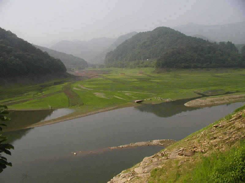 충주호 주말 좌대매진 월척붕어의 모습 (조황조행기 - 특파원조황)