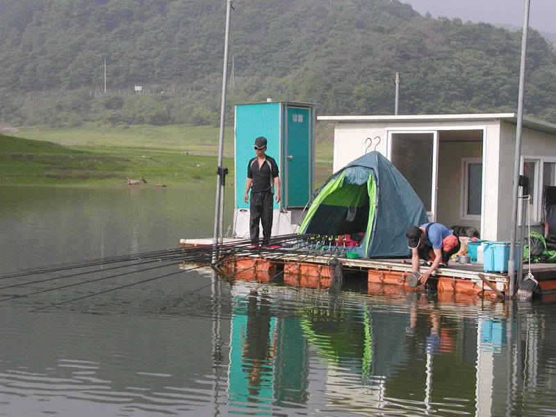 충주호 주말 좌대매진 월척붕어의 모습 (조황조행기 - 특파원조황)