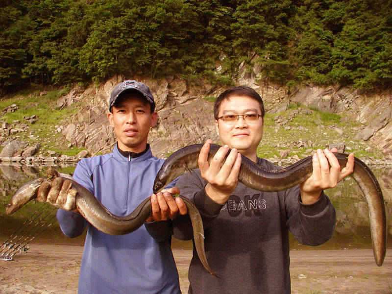 충주호 장어낚시 대물조사 3인방 탄생 (조황조행기 - 특파원조황)