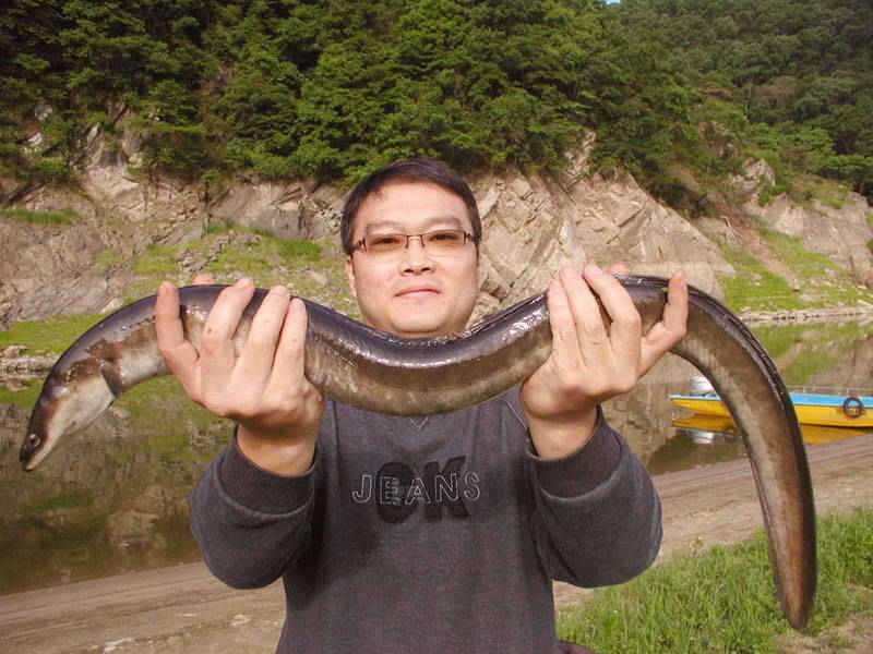 충주호 장어낚시 대물조사 3인방 탄생 (조황조행기 - 특파원조황)