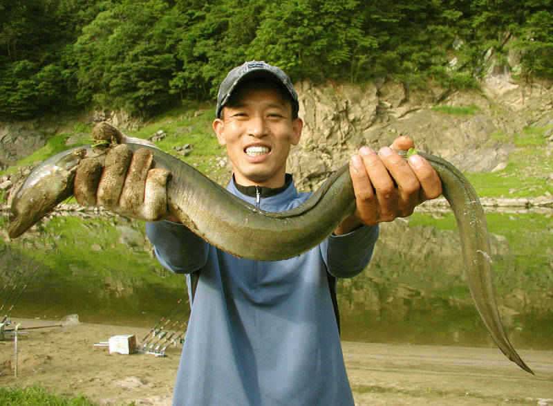 충주호 장어낚시 대물조사 3인방 탄생 (조황조행기 - 특파원조황)