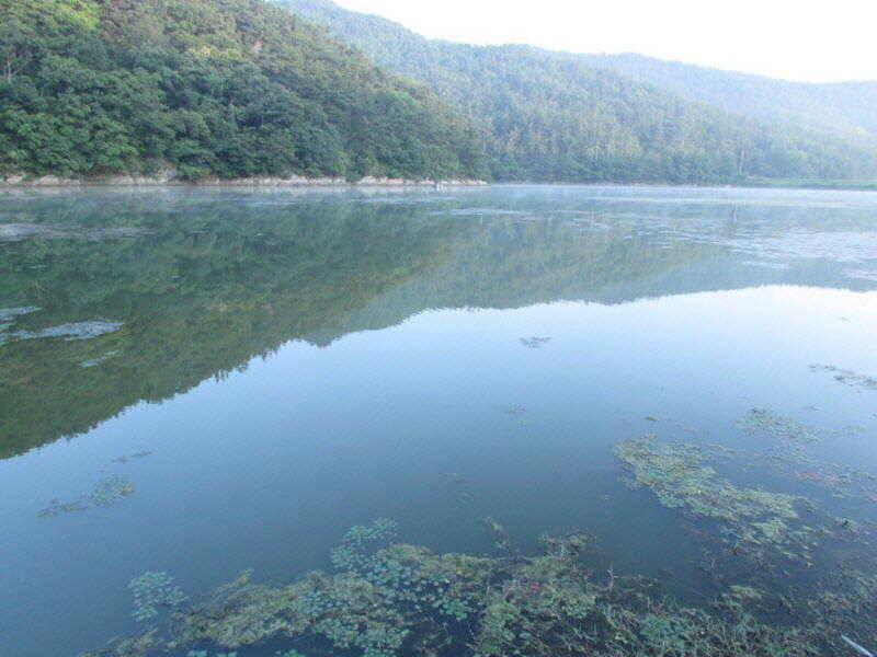 6월 4째주 조황입니다 (조황조행기 - 특파원조황)