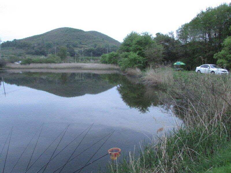 5월 첫주 조황 입니다 (조황조행기 - 특파원조황)