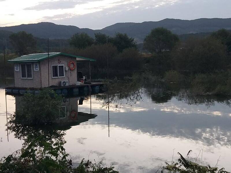 고삼지수문방류 중단후 모습 (조황조행기 - 특파원조황)