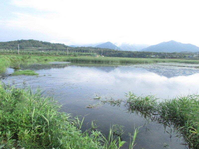 7월 첫주 조황입니다 (조황조행기 - 특파원조황)