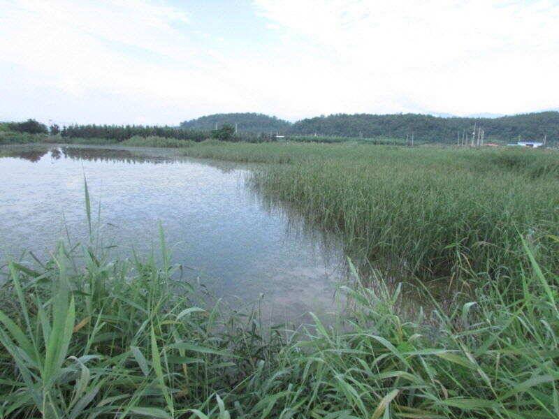7월 첫주 조황입니다 (조황조행기 - 특파원조황)