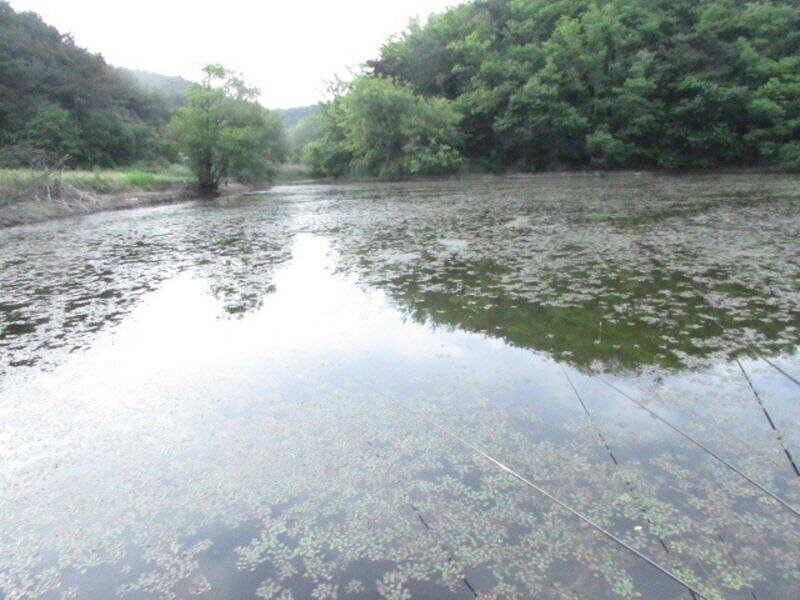 5월 마지막주 조황소식입니다 (조황조행기 - 특파원조황)