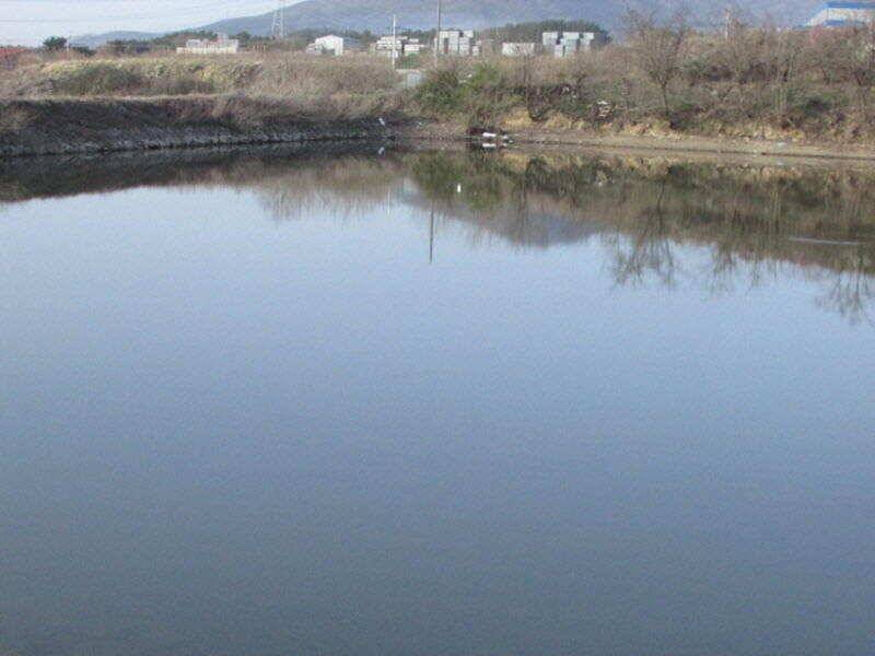 4월 2째주 조황입니다 (조황조행기 - 특파원조황)