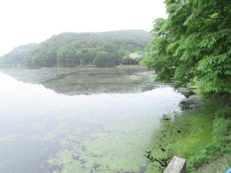 5월 4째주 조황입니다 (조황조행기 - 특파원조황)