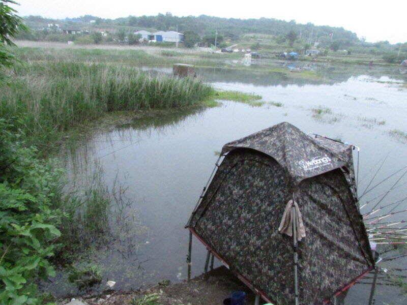 5월 4째주 조황입니다 (조황조행기 - 특파원조황)