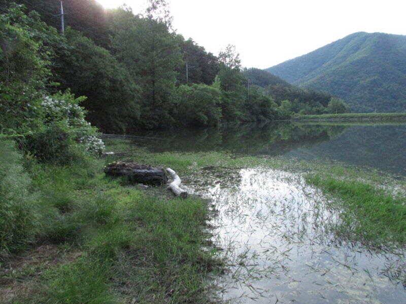 5월 마지막주 조황 입니다 (조황조행기 - 특파원조황)