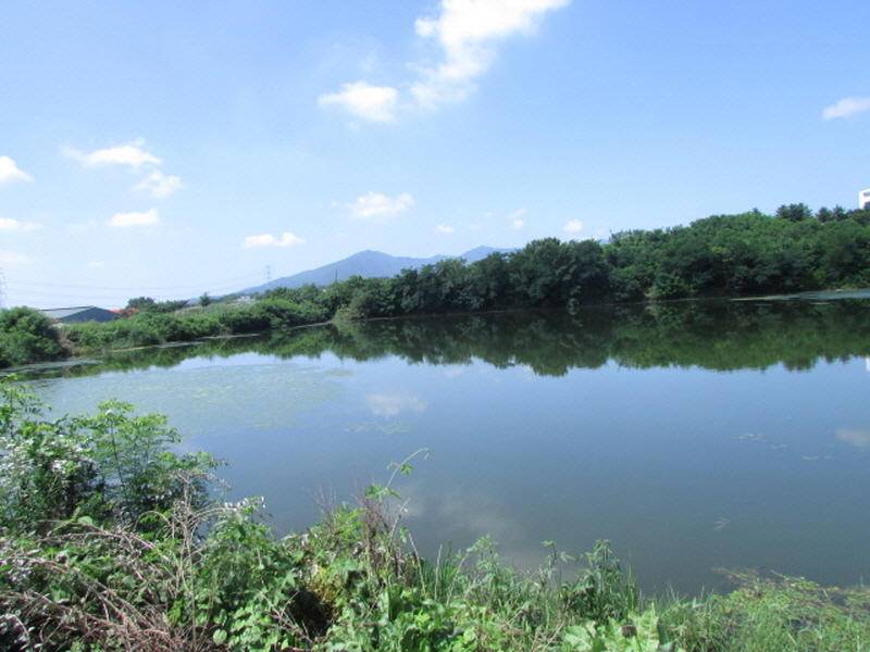 7월3째주 조황입니다 (조황조행기 - 특파원조황)