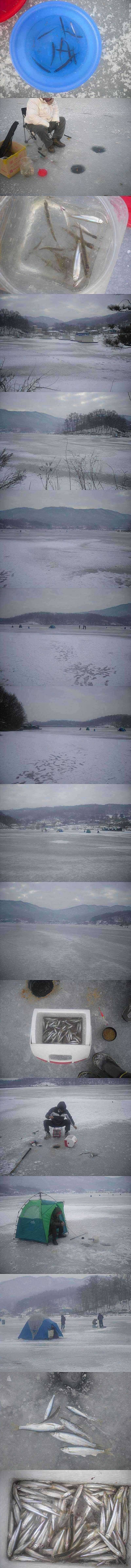 두창지 이제서야 잘나옵니다 (조황조행기 - 특파원조황)